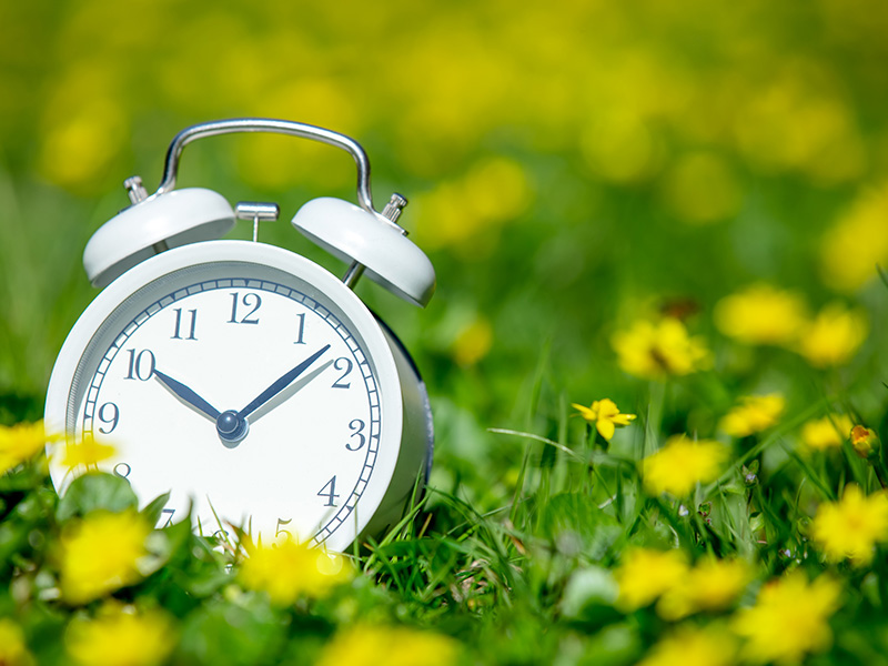 white classic alarm clock with bells on green meadow